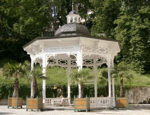 Karlovy Vary città termale con pernottamento
